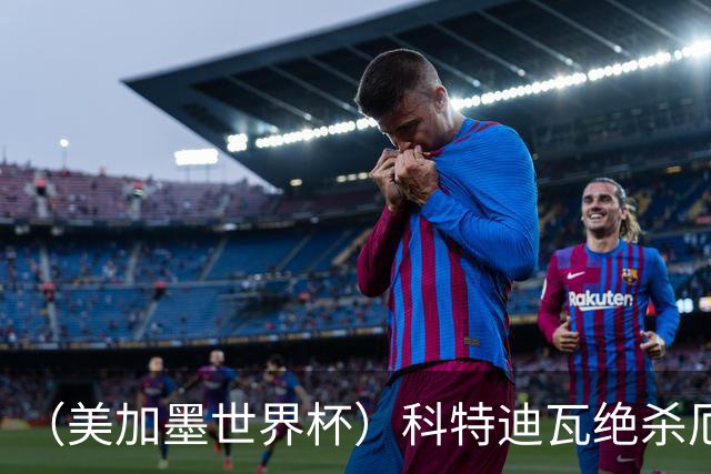 （美加墨世界杯）科特迪瓦绝杀厄瓜多尔 瑞典5:1大胜突尼斯